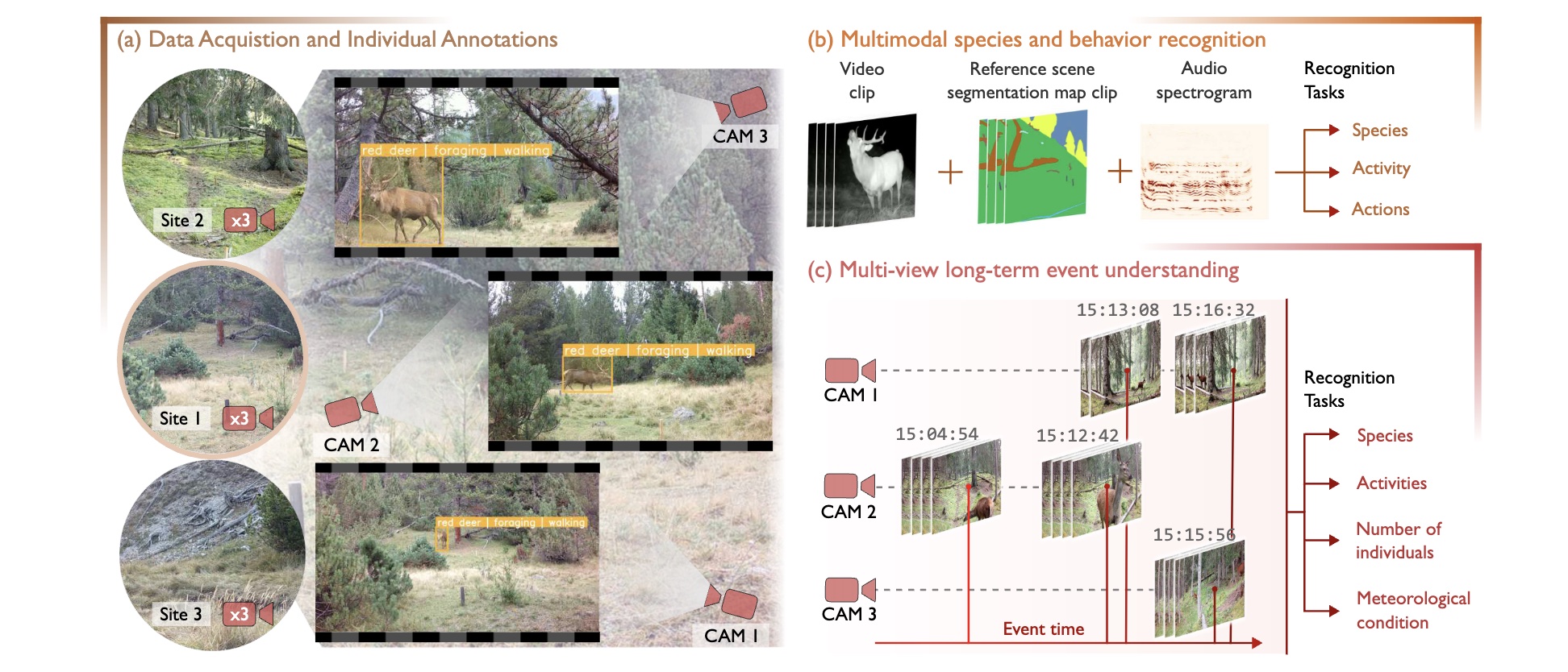 MammAlps: A multi-view video behavior monitoring dataset of wild mammals in the Swiss Alps