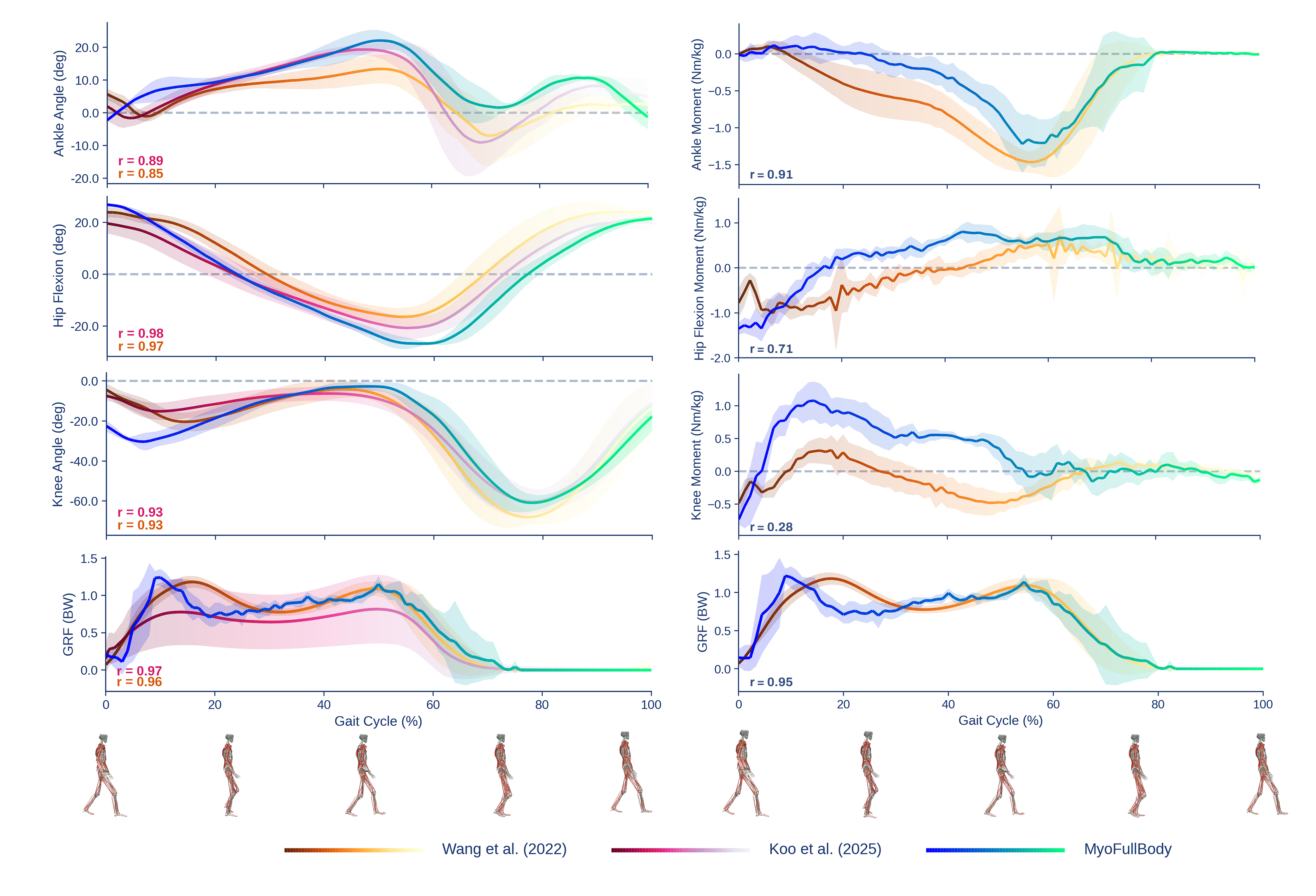 Walking gait analysis